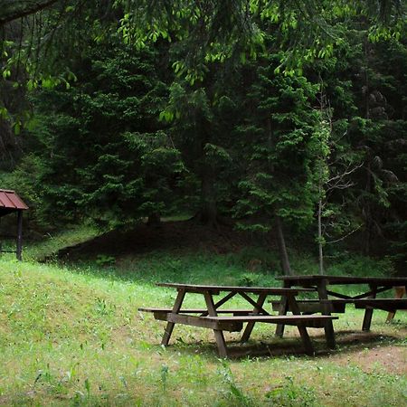 Tettuccio Montesole Apart otel Ponte Di Legno Dış mekan fotoğraf